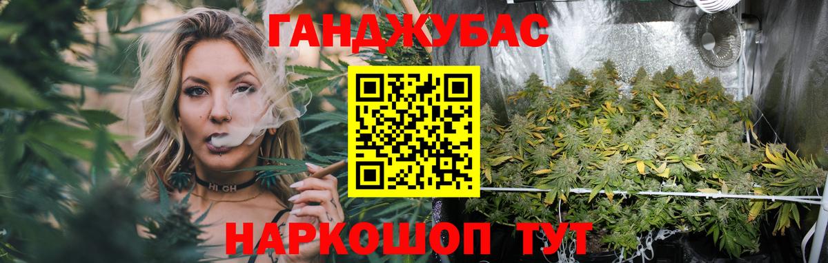 Конопля планчик  Вход с VPN  Губаха  Канабис Ganja  МАРИХУАНА планчик  Бошки Шишки индика 